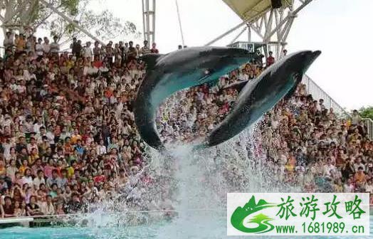 南宁适合小孩玩的地方有哪些 南宁适合小孩玩的地方有哪些