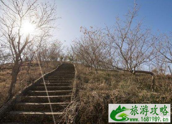 S244省道真的美吗 S244景点推荐 S244省道真的美吗 S244景点推荐