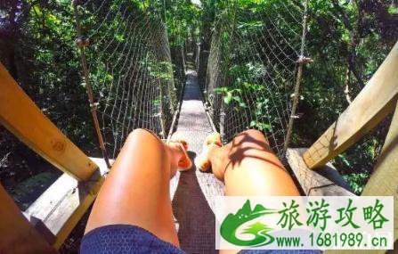 萨摩亚旅游安全吗 萨摩亚哪里最好玩