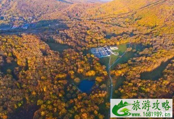 五花山在哪 五花山是什么意思 五花山景点介绍