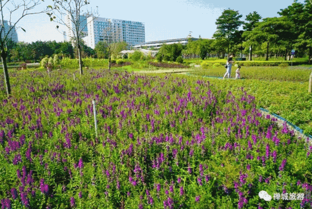 2022佛山南海区秋季周边游玩地推荐