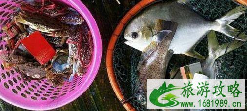 广东大澳渔村有海鲜吃吗 大澳渔村游玩攻略 广东大澳渔村有海鲜吃吗 大澳渔村游玩攻略