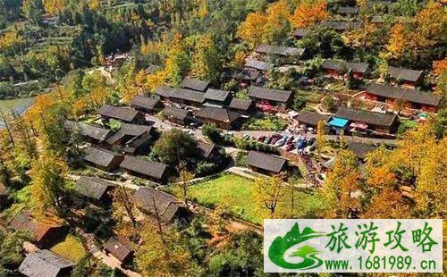 六盘水妥乐村最佳旅游时间 妥乐村的银杏树黄了吗 六盘水妥乐村最佳旅游时间 妥乐村的银杏树黄了吗