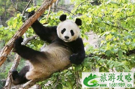 西安周边适合带小孩游玩的地方