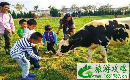 西安秦灞庄园怎么坐车过去 门票+交通指南