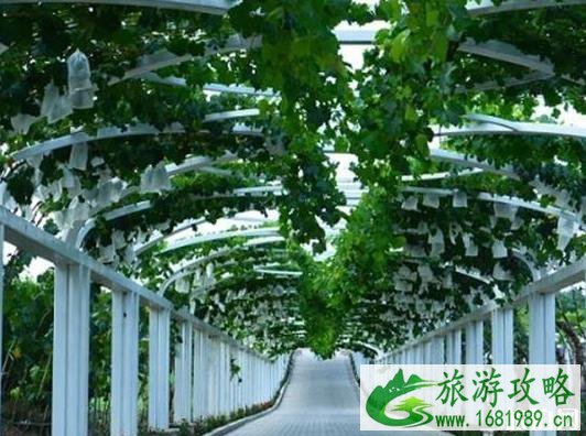 2022张裕瑞那城堡酒庄门票多少钱 2022张裕瑞那城堡酒庄门票多少钱