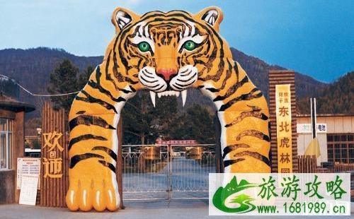 哪里可以和东北虎幼崽合影 东北虎幼崽合影50元收费合法吗 哪里可以和东北虎幼崽合影 东北虎幼崽合影50元收费合法吗