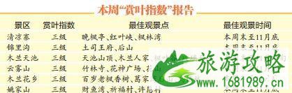 2022武汉枫叶观赏时间+最佳地点+交通 2022武汉枫叶观赏时间+最佳地点+交通