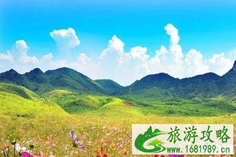 綦江花坝门票多少钱 綦江花坝露营基地价格 綦江花坝门票多少钱 綦江花坝露营基地价格