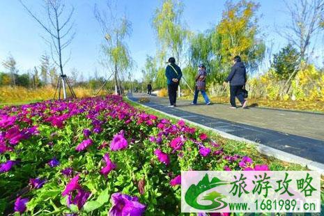 宋庄文化公园开了吗 通州宋庄文化公园实景介绍