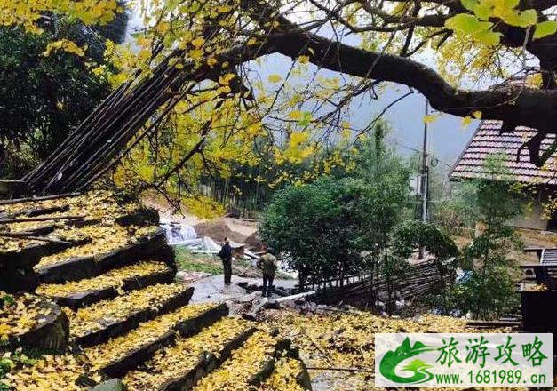 指南村旅游攻略 指南村旅游攻略