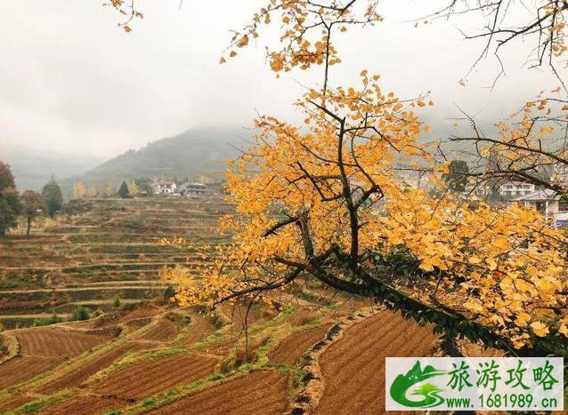 指南村旅游攻略 指南村旅游攻略