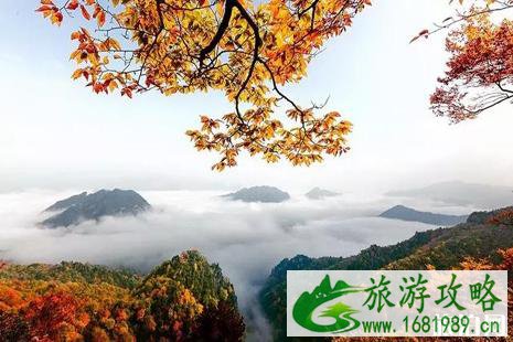 11月国内去哪玩好