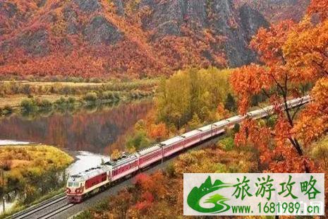 11月国内去哪玩好