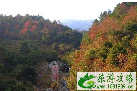 2022广东赏红叶的地方有哪些 2022广东赏红叶的地方有哪些