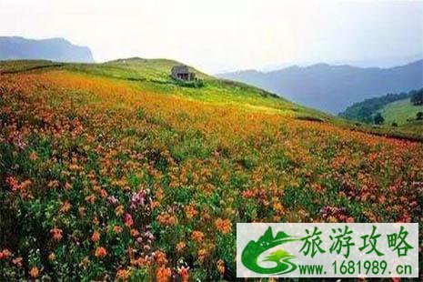 2022沁水历山景区冬春季要关闭吗 为什么 2022沁水历山景区冬春季要关闭吗 为什么