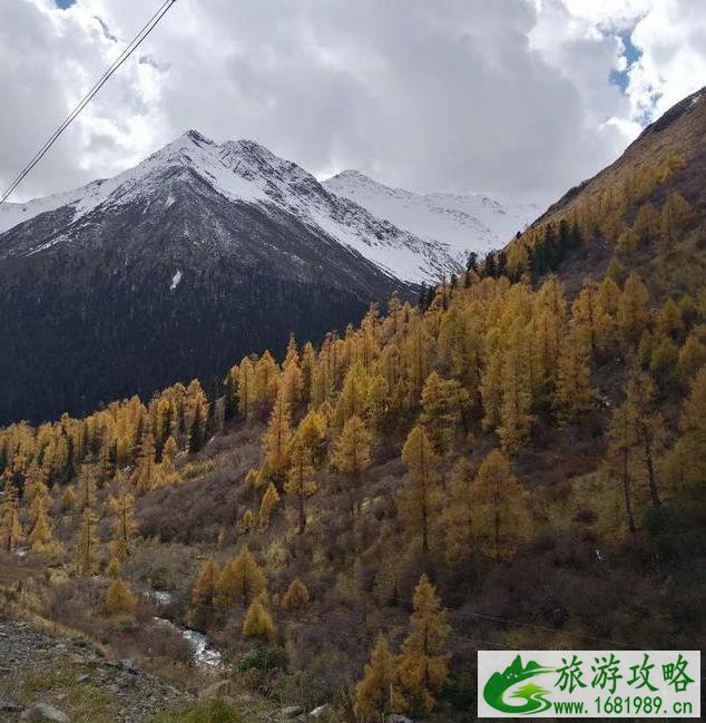 川西黑水奶子沟图片 川西黑水奶子沟图片
