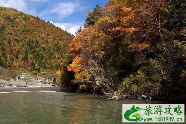 川西黑水奶子沟图片 川西黑水奶子沟图片