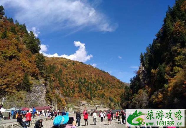 川西黑水奶子沟图片 川西黑水奶子沟图片