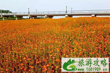 邳州有什么好玩的地方 邳州有什么好玩的地方