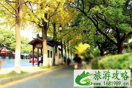2022苏州银杏景点有哪些 2022苏州银杏景点有哪些