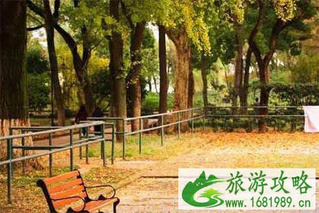 2022苏州大学银杏季开放 怎么预约参观