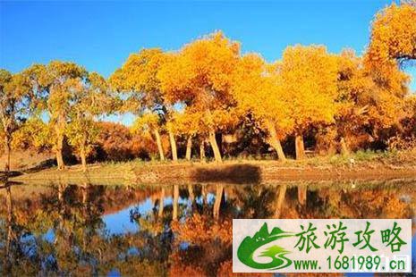 河西走廊古丝绸之路穿越旅游路线规划 古丝绸之路+河西走廊 9日游行程规划 河西走廊古丝绸之路穿越旅游路线规划 古丝绸之路+河西走廊 9日游行程规划