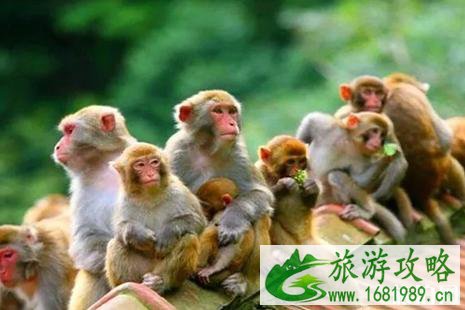临安有什么好玩的景点 临安有什么好玩的景点