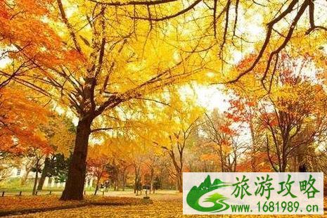 日本大阪京都游玩攻略 日本大阪京都游玩攻略