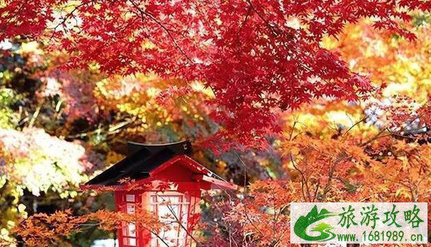 日本大阪京都游玩攻略 日本大阪京都游玩攻略