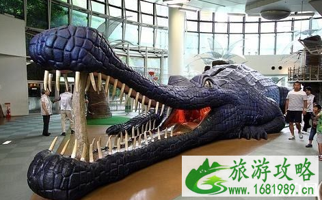 大阪哪里适合小朋友玩 大阪哪里适合小朋友玩