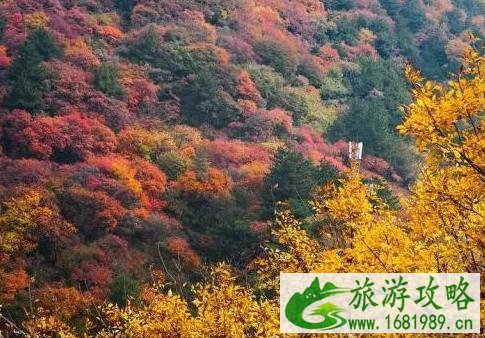 河北看红叶最好的地方 河北看红叶最好的地方