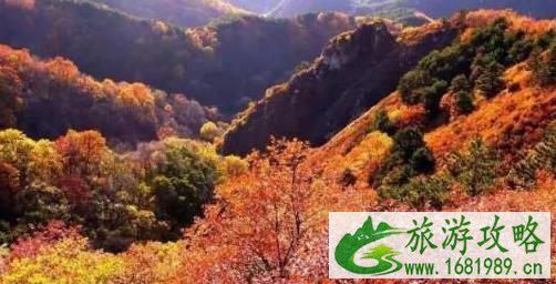 河北看红叶最好的地方 河北看红叶最好的地方