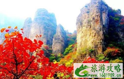 河北看红叶最好的地方 河北看红叶最好的地方