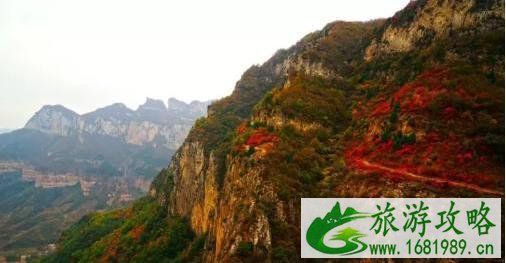 河北看红叶最好的地方 河北看红叶最好的地方