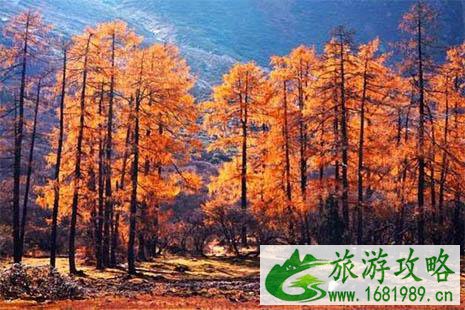 毕棚沟游玩需要多久时间 最省时省力线路推荐 毕棚沟游玩需要多久时间 最省时省力线路推荐