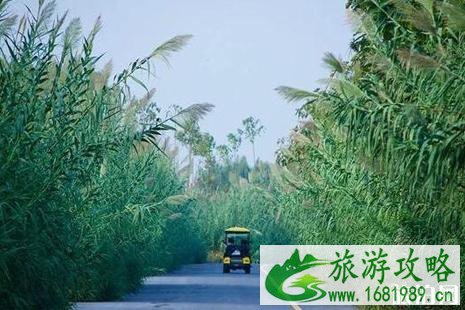 洪泽湖湿地公园好玩吗