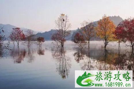 双十一去哪旅游 十一月适合去哪里旅游国内 双十一去哪旅游 十一月适合去哪里旅游国内