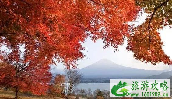 日本旅游最佳路线图 日本旅游最佳路线图