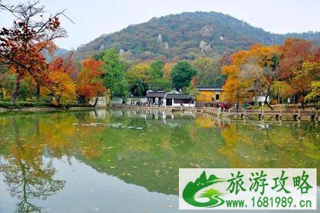 中国哪里的枫叶最好看 中国枫叶最美的十大地方 中国哪里的枫叶最好看 中国枫叶最美的十大地方
