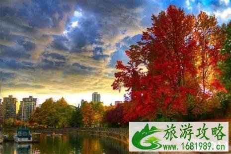 温哥华交通攻略