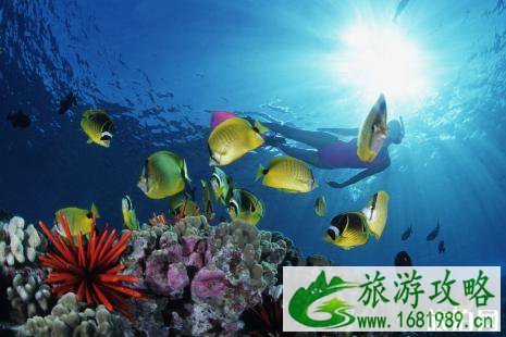 泰国浮潜真的很危险吗 泰国浮潜有哪些安全隐患