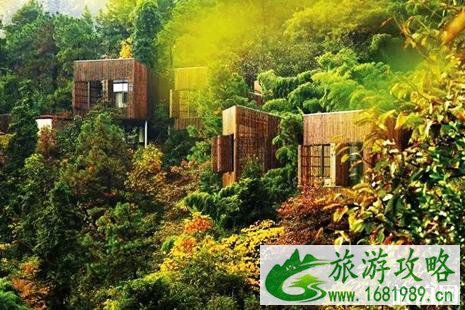 中国风景最美的酒店排名