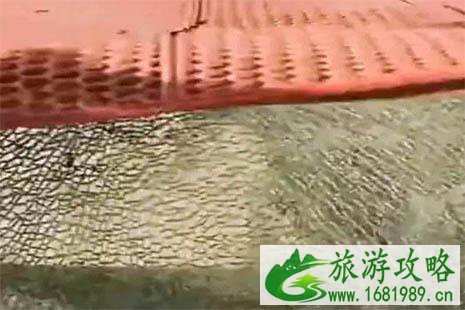 2022邯郸东太行景区玻璃栈道关闭是为什么