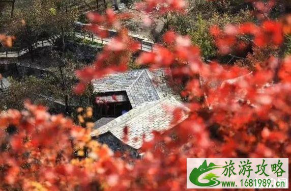 2022年第七届幽岚山坡峰岭红叶节 北京上方山红叶观赏攻略 2022年第七届幽岚山坡峰岭红叶节 北京上方山红叶观赏攻略