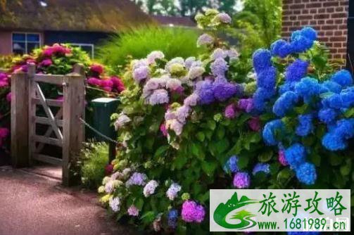羊角村旅游攻略