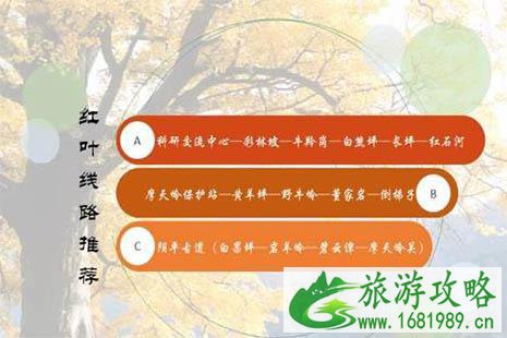 2022唐家河红叶节是什么时候 唐家河的红叶什么时候红叶最红