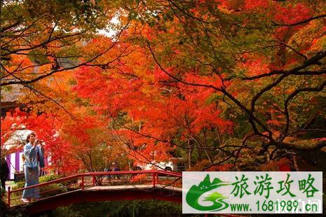日本京都红叶旅游攻略 日本京都红叶旅游攻略