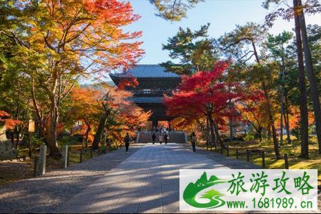 日本京都红叶旅游攻略 日本京都红叶旅游攻略