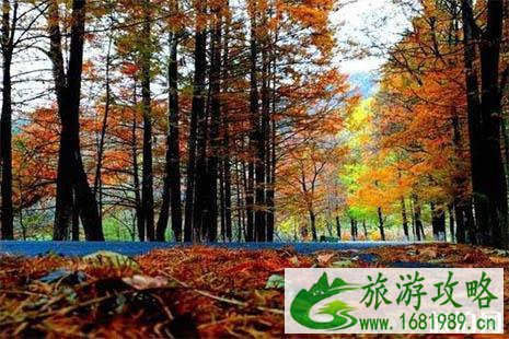 秦岭国道自驾游赏秋最好的路段